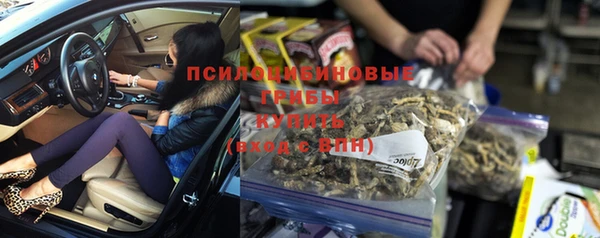 ГАЛЛЮЦИНОГЕННЫЕ ГРИБЫ Алексеевка