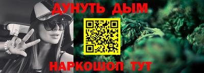 шишки Аргун