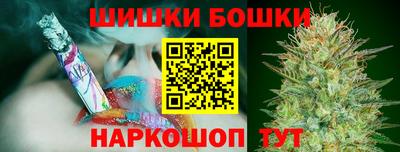 шишки Аргун
