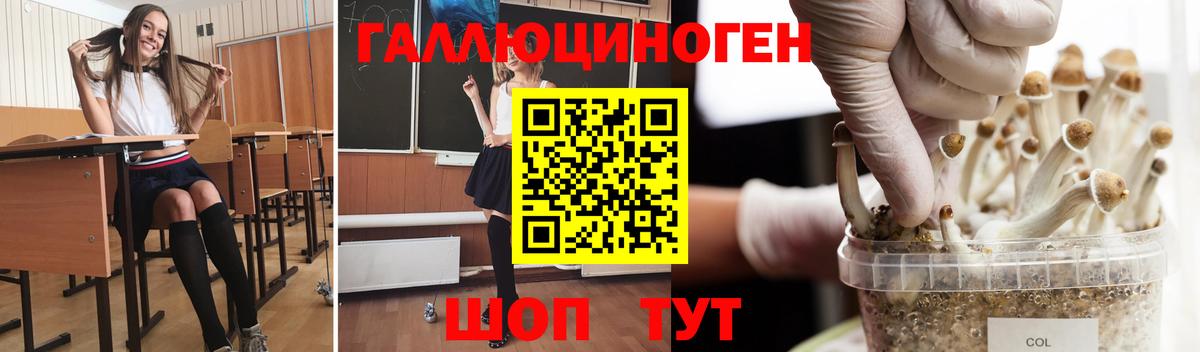 Ахтубинск  Галлюциногенные грибы MAGIC MUSHROOMS  Вход с VPN 